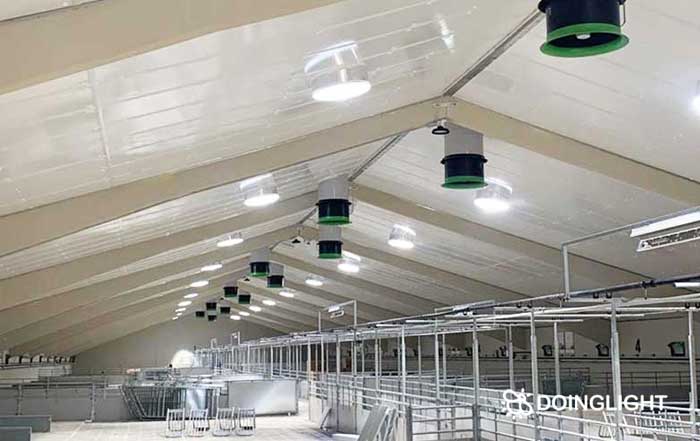 Luz natural en granjas